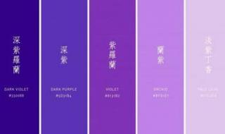 紫色代表什么意思 紫色代表什么,象征什么