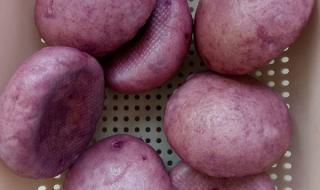 紫薯玉米面馒头不用自发粉的做法 紫薯馒头的做法