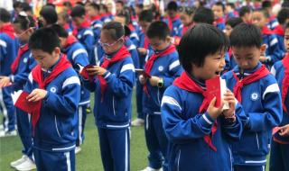 中国少年先锋队队章 中国少年先锋队章程第几大成立